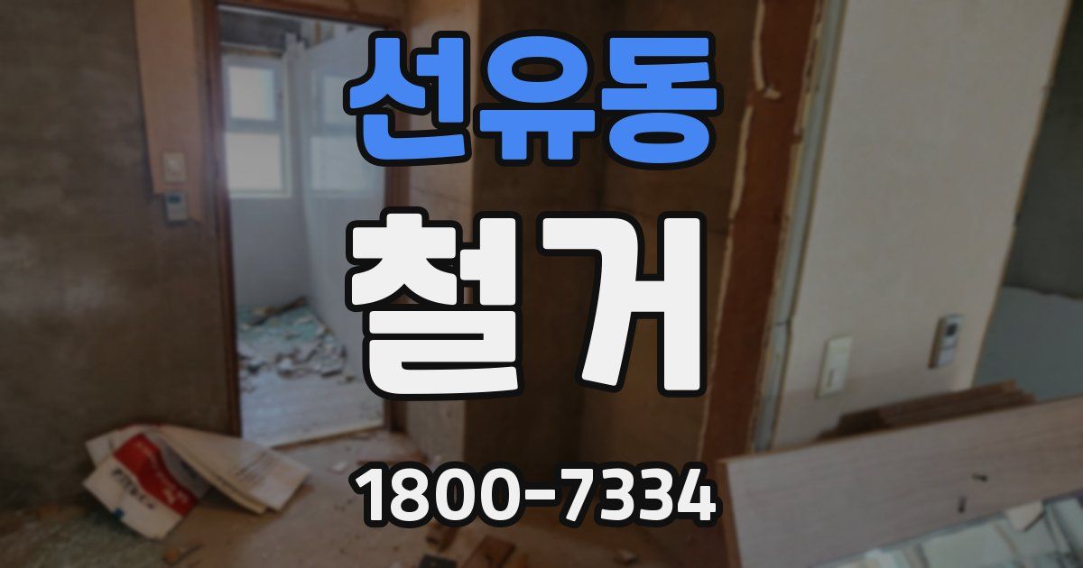 선유동 철거