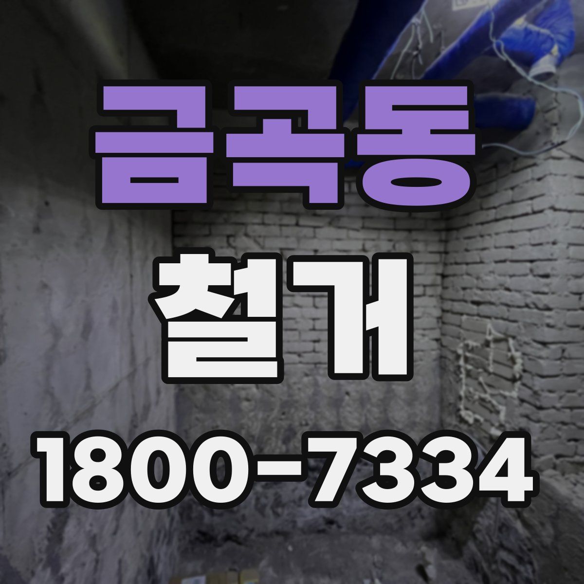 금곡동 철거