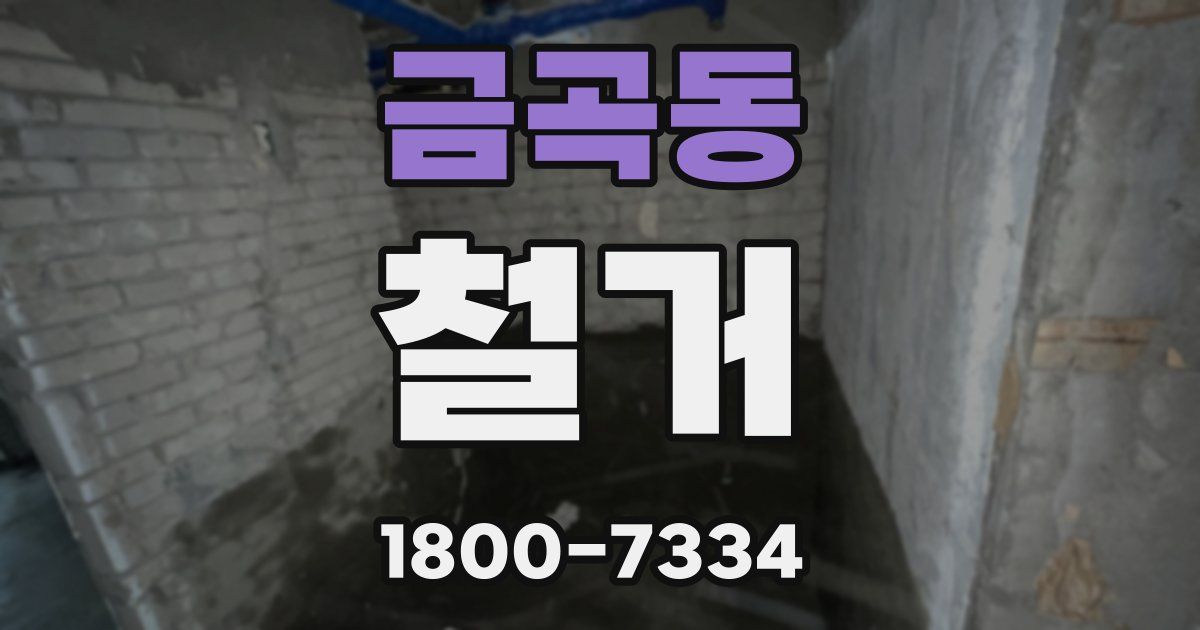 금곡동 철거