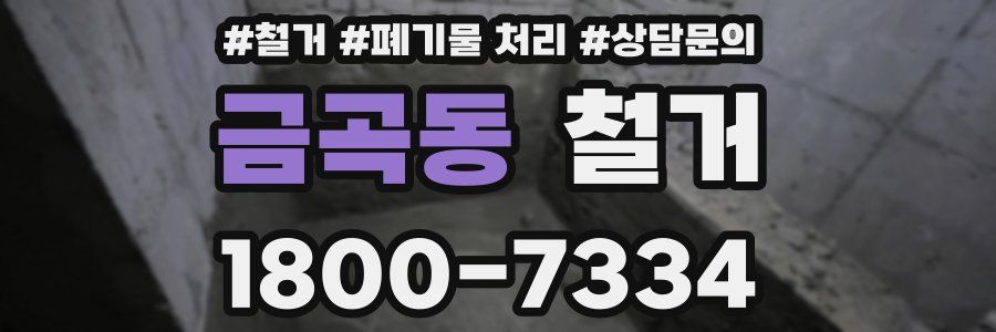 금곡동 철거