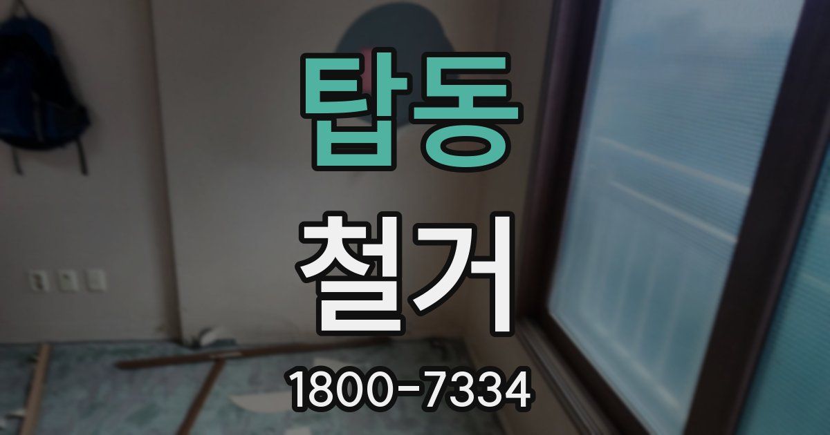 탑동 철거