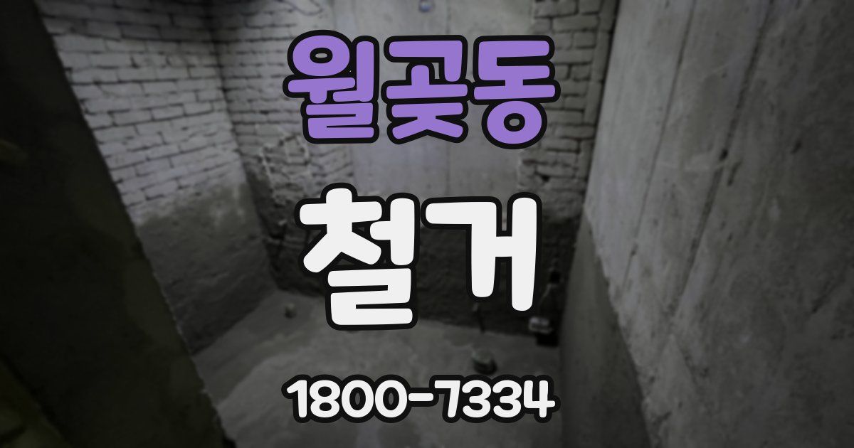 월곶동 철거