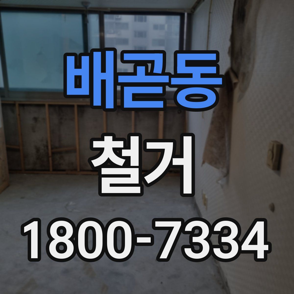 배곧동 철거