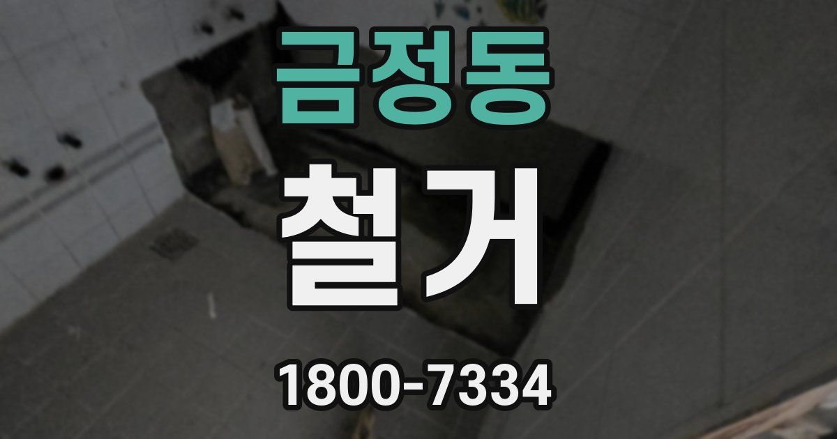 금정동 철거