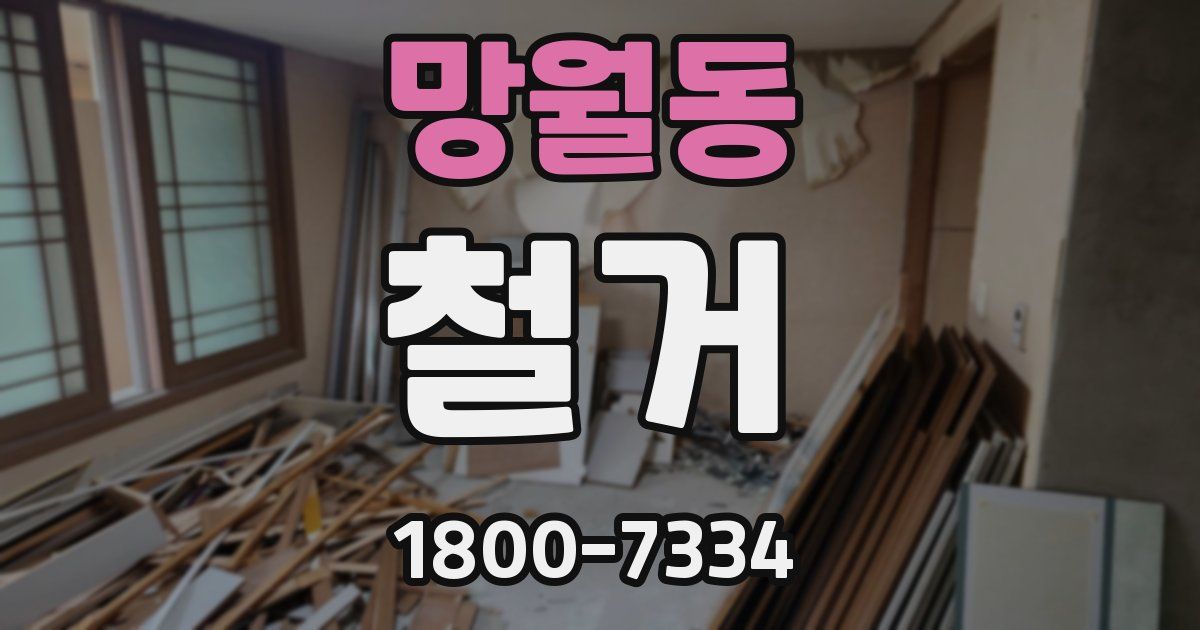 망월동 철거