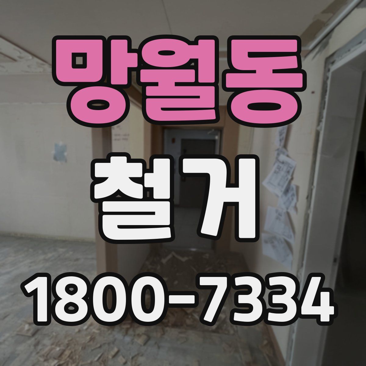 망월동 철거