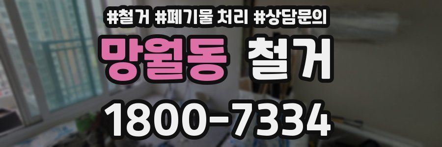 망월동 철거
