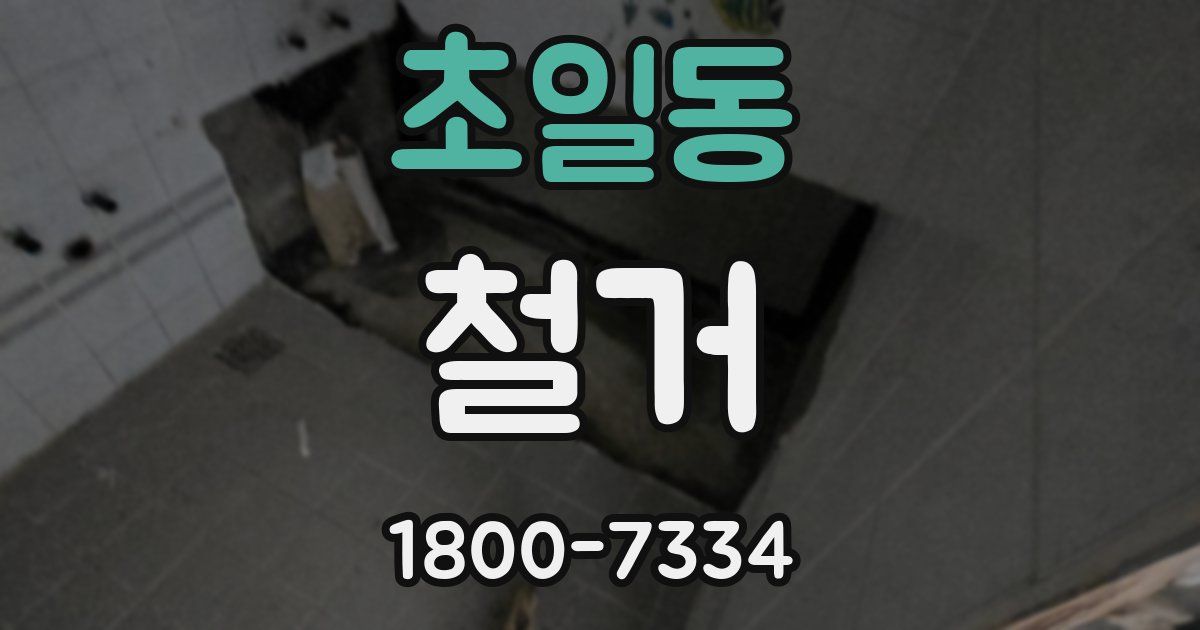 초일동 철거