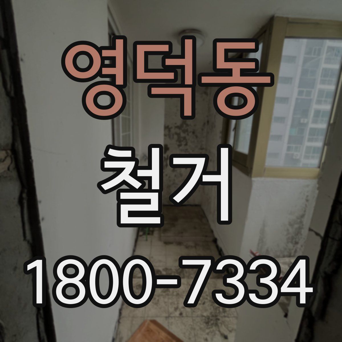 영덕동 철거