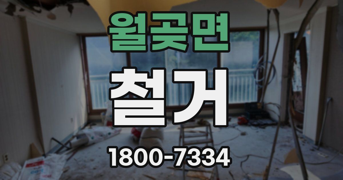 월곶면 철거