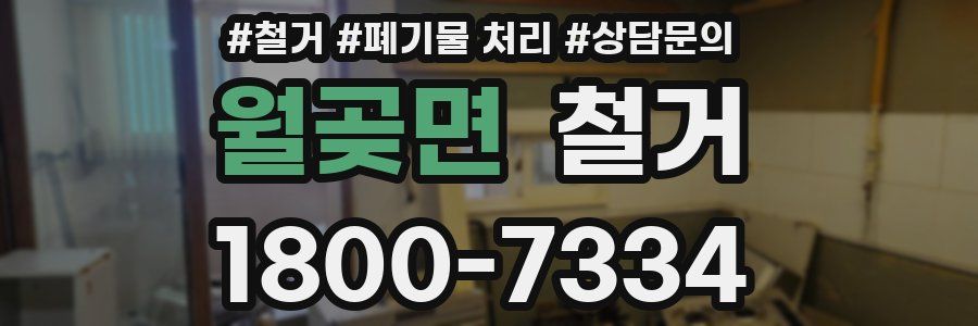 월곶면 철거