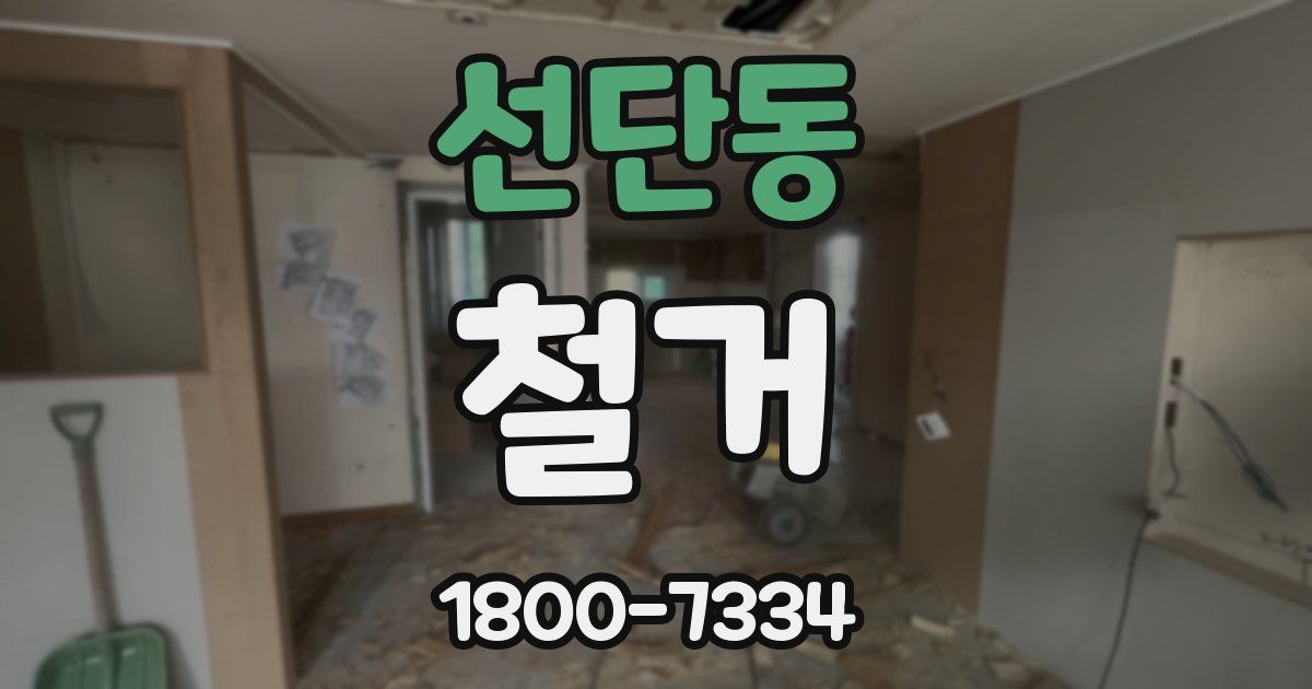 선단동 철거