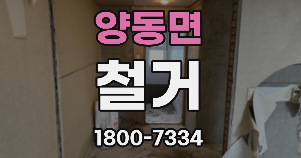 양동면 철거