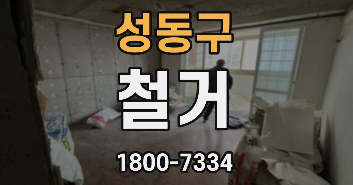 성동구 철거