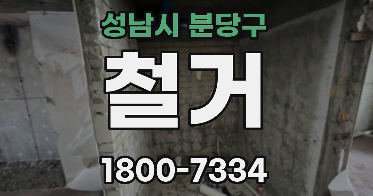 성남시 분당구 철거