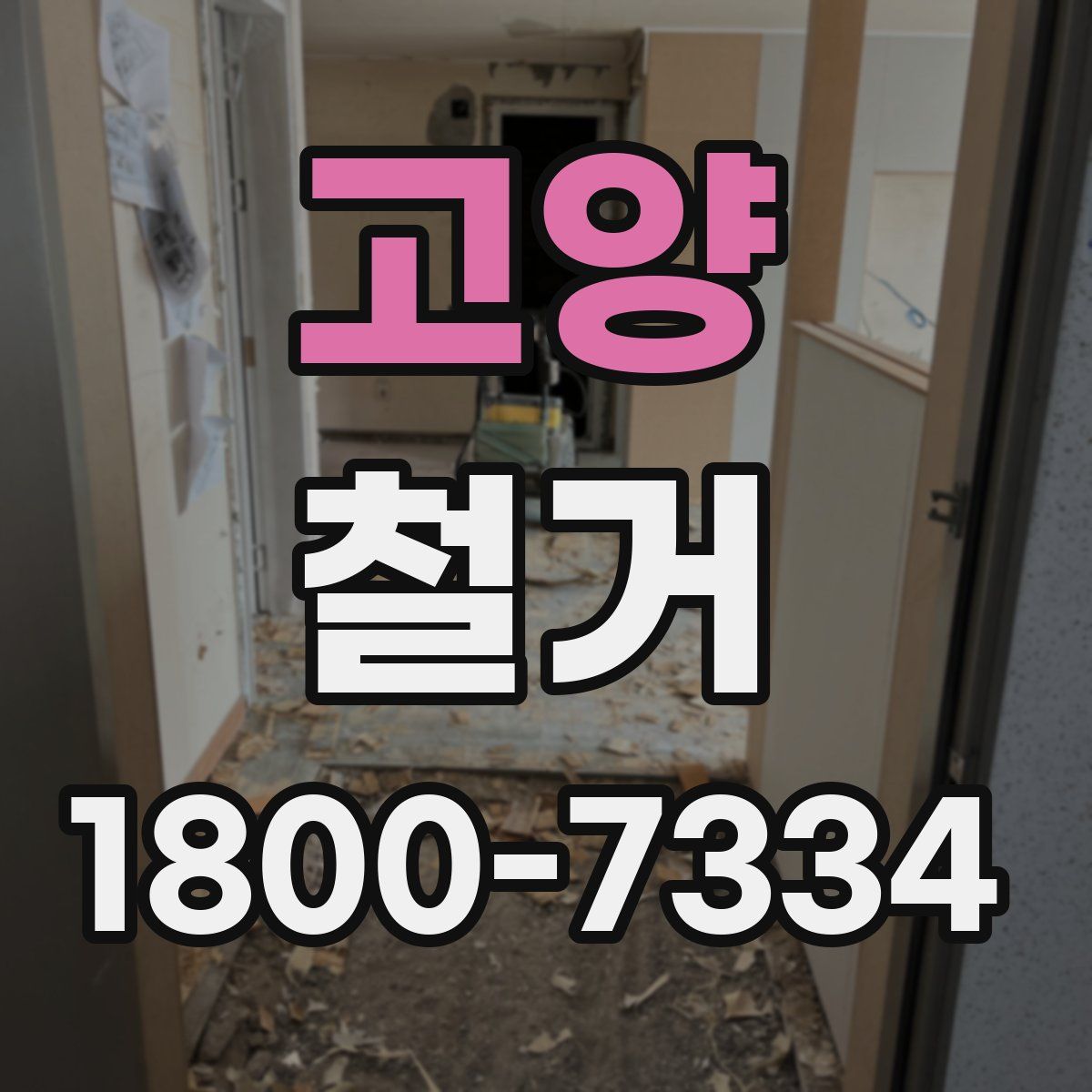 고양 철거