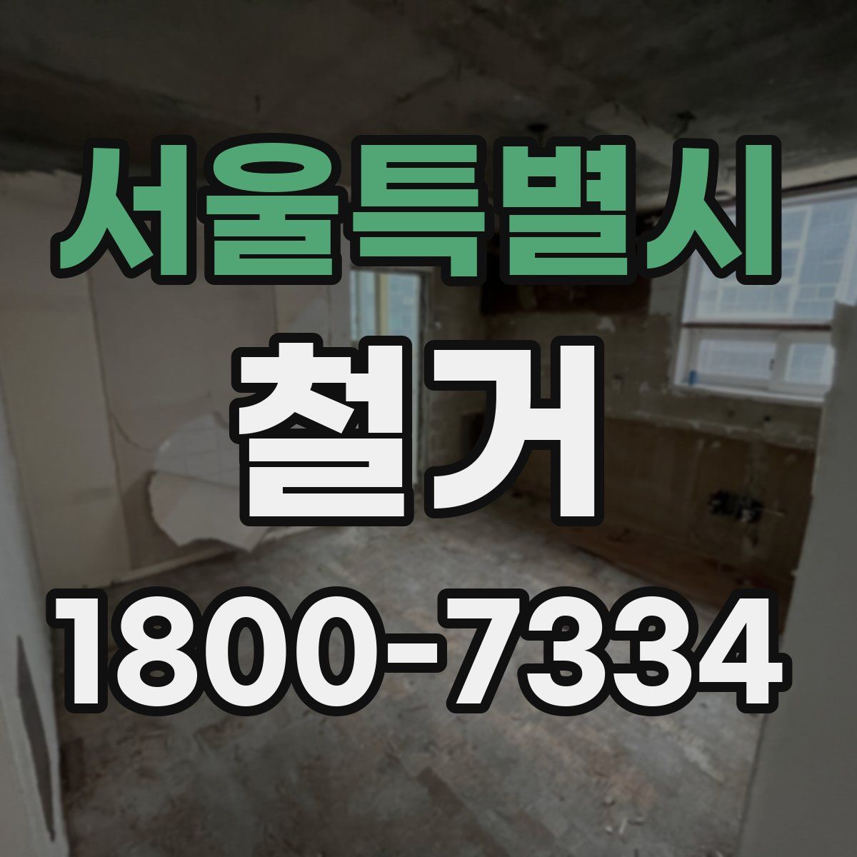 서울특별시 철거
