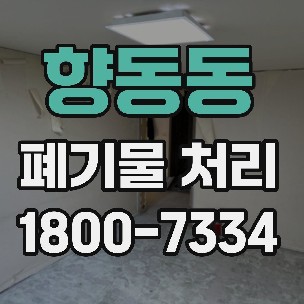 향동동 폐기물 처리 전 사진으로 확인하면 좋은 부분