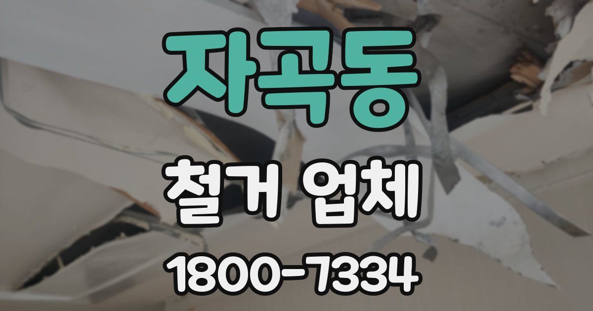 자곡동 철거 업체