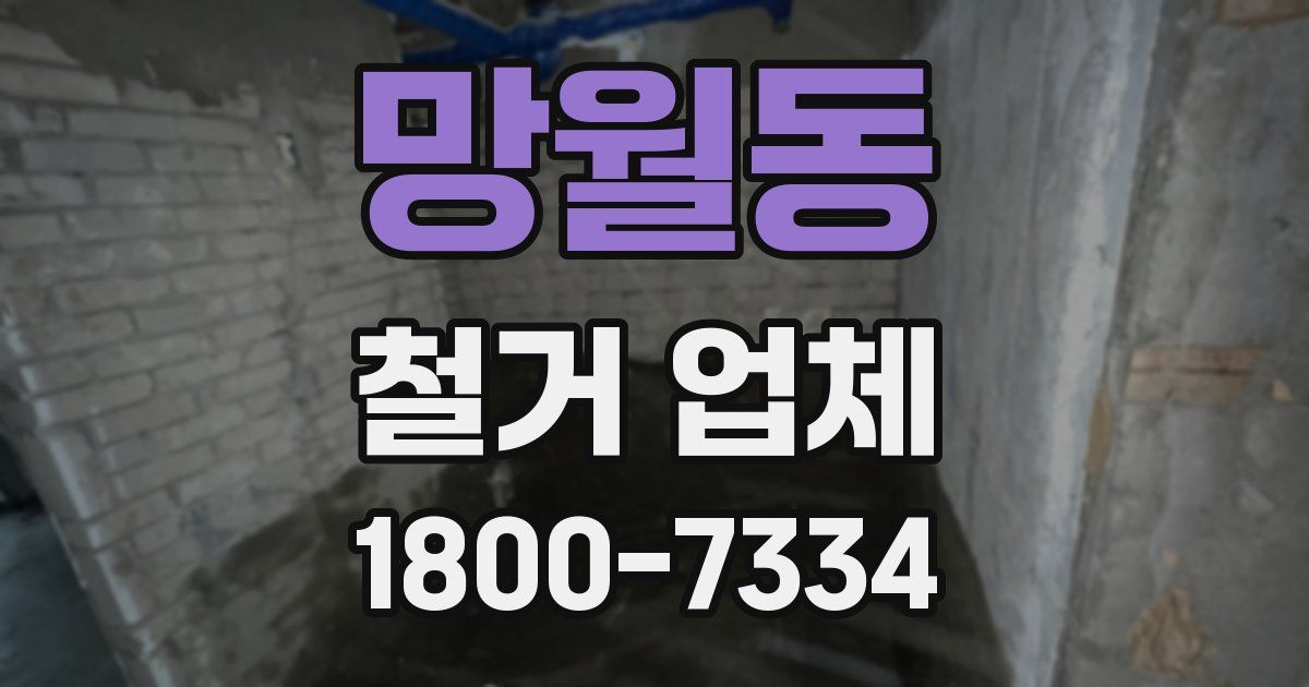 망월동 철거 업체