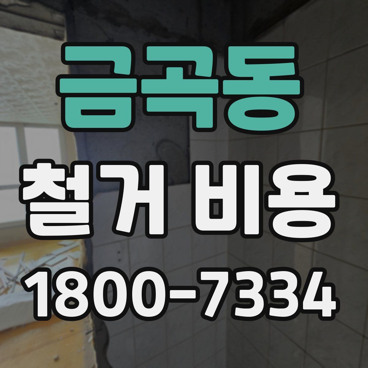금곡동 철거 비용