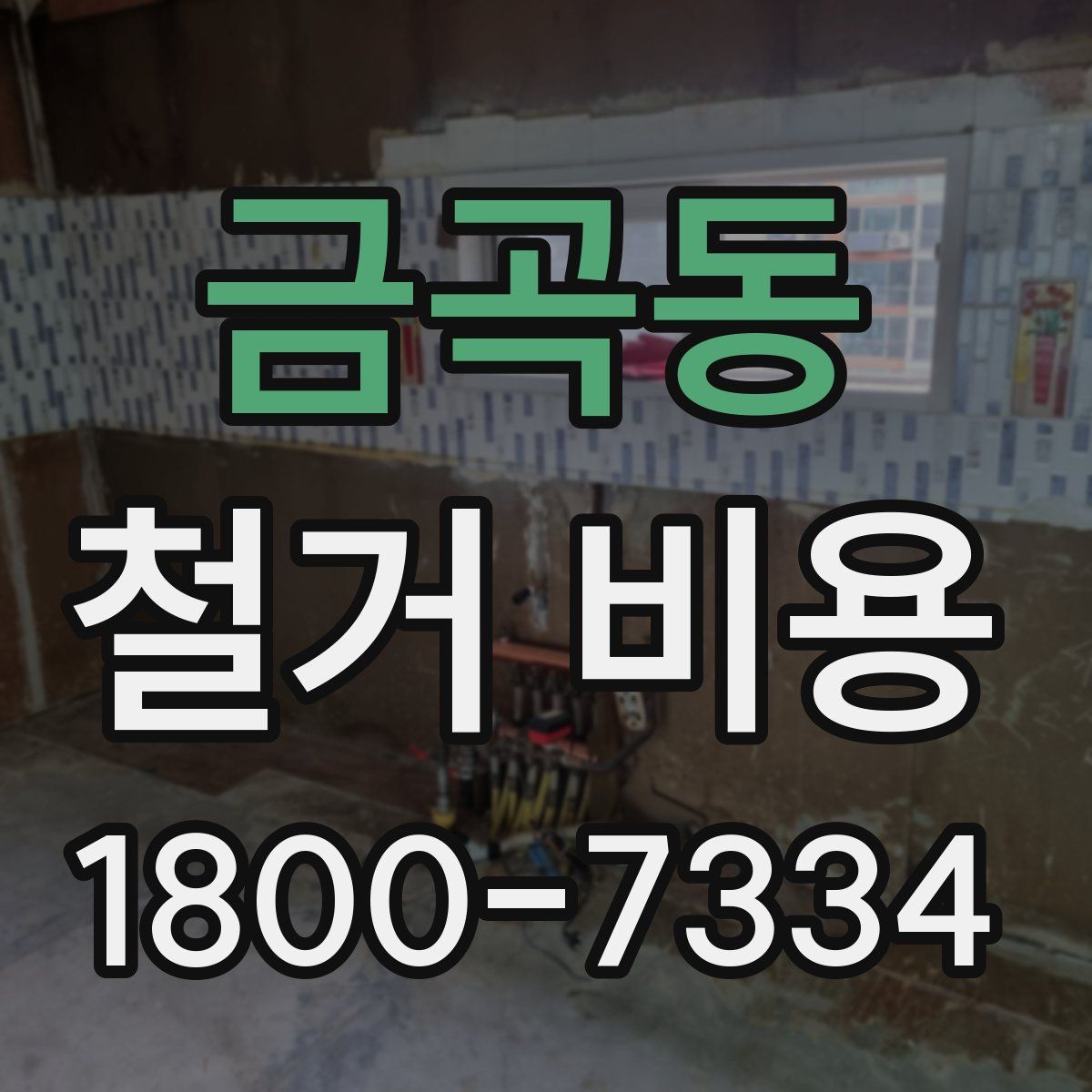 금곡동 철거 비용