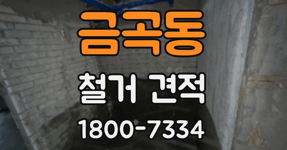 금곡동 철거 견적