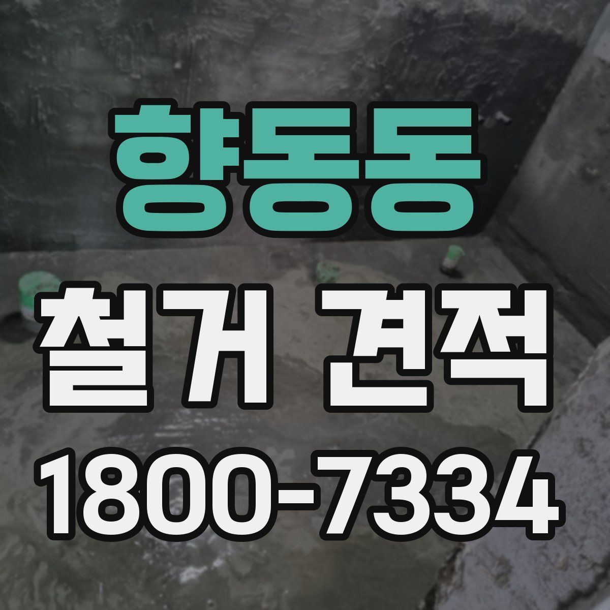 향동동 철거 견적