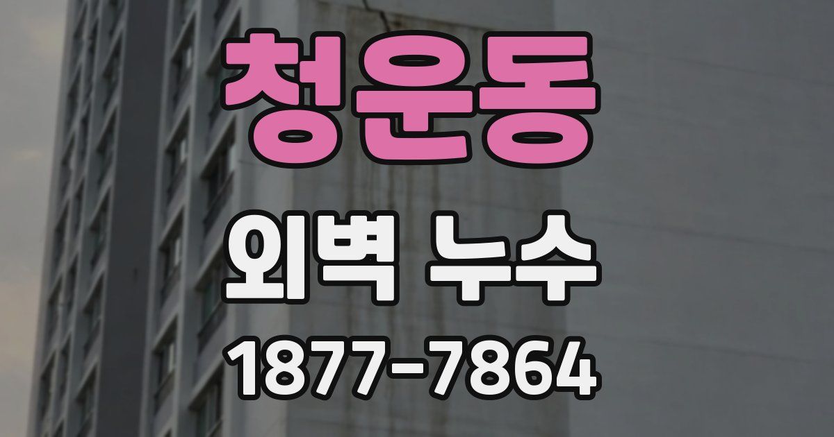 청운동 외벽 누수