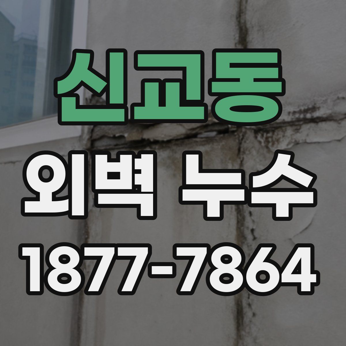 신교동 외벽 누수