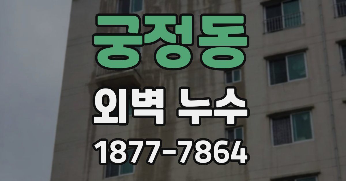 궁정동 외벽 누수