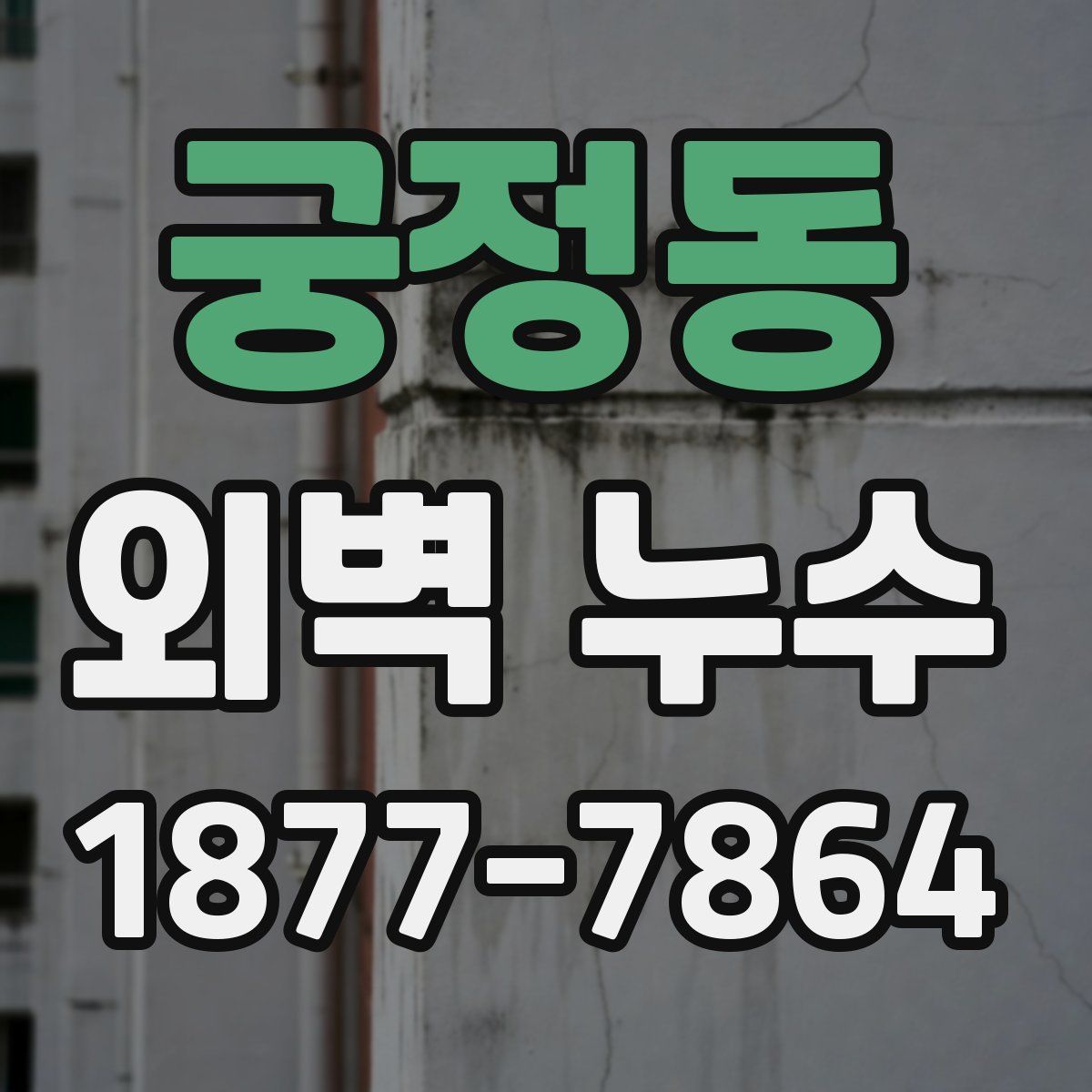 궁정동 외벽 누수