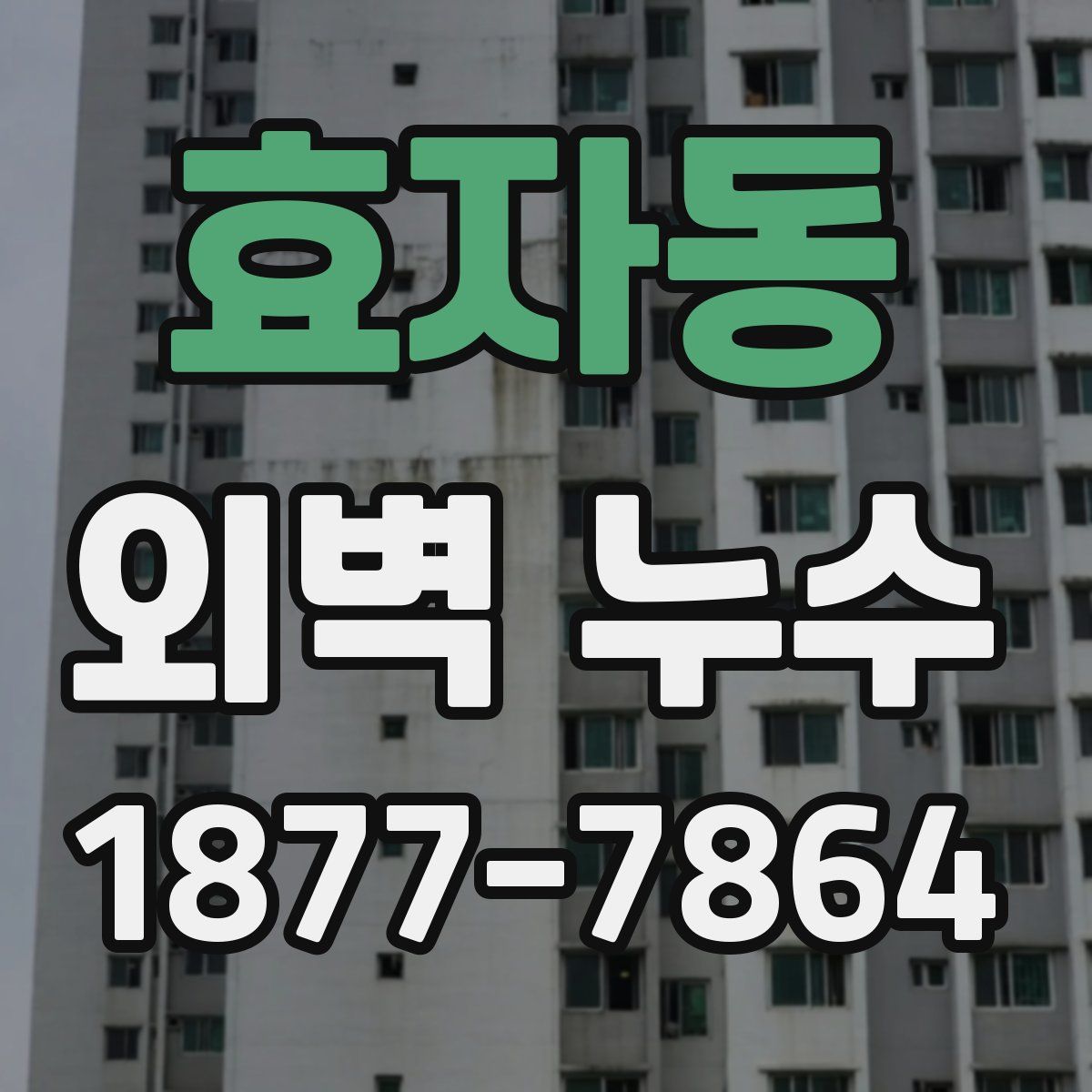 효자동 외벽 누수