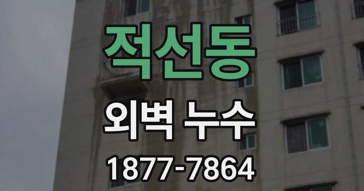 적선동 외벽 누수