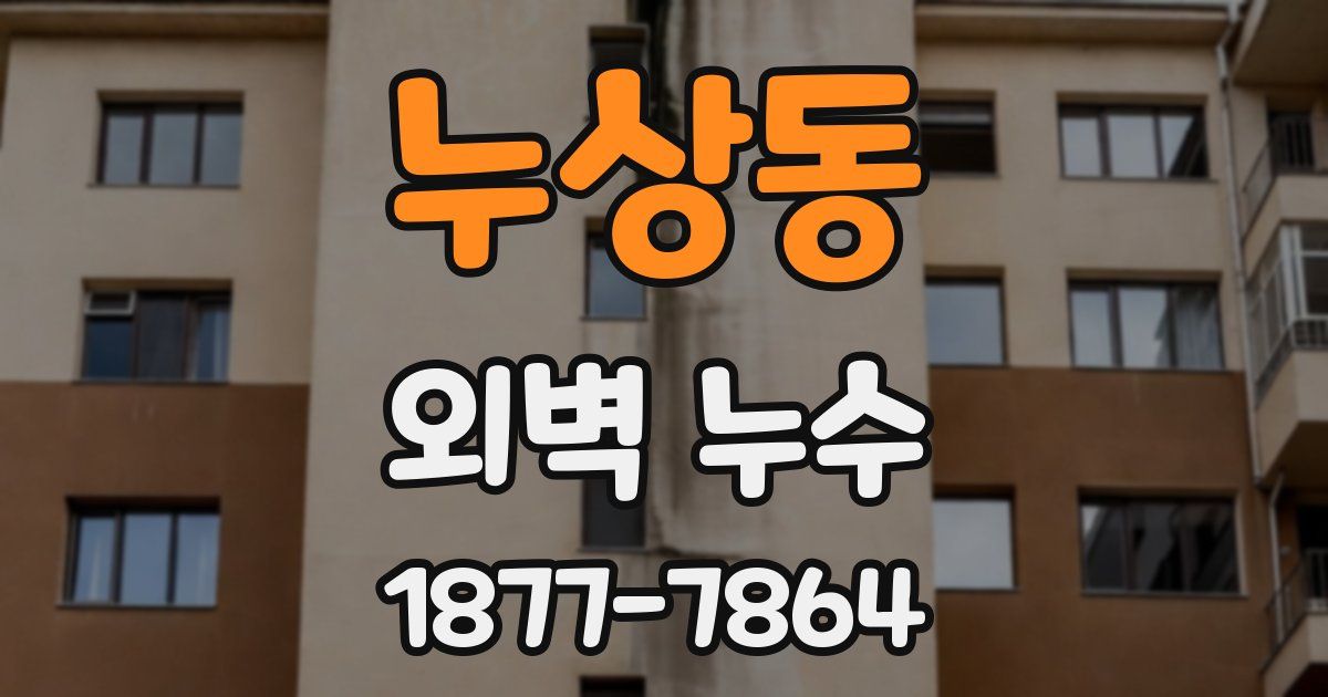 누상동 외벽 누수