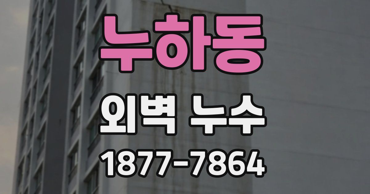 누하동 외벽 누수
