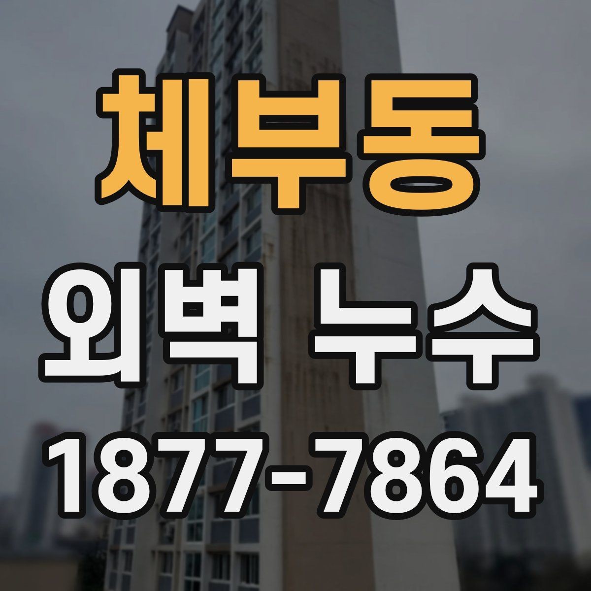 체부동 외벽 누수 점검이 필요한 계절과 상황