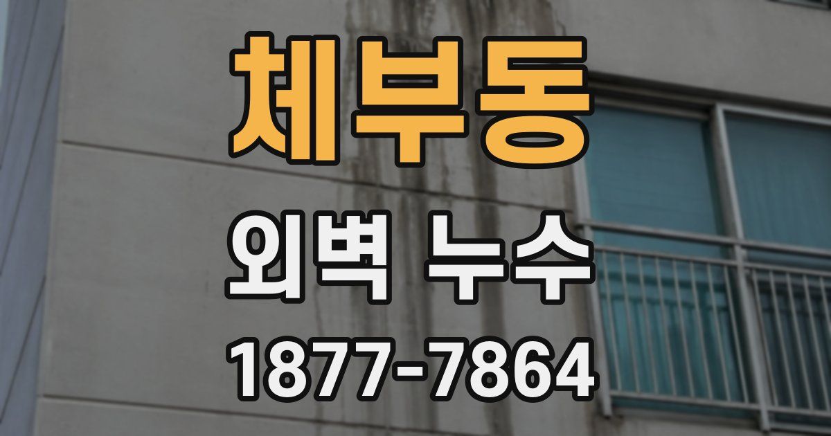 체부동 외벽 누수