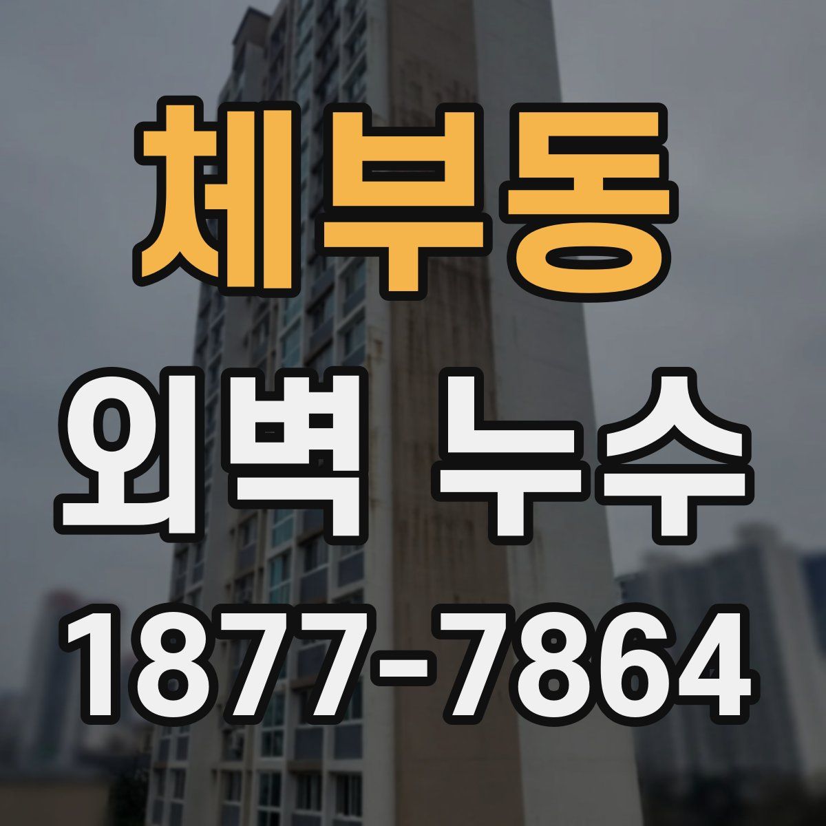 체부동 외벽 누수
