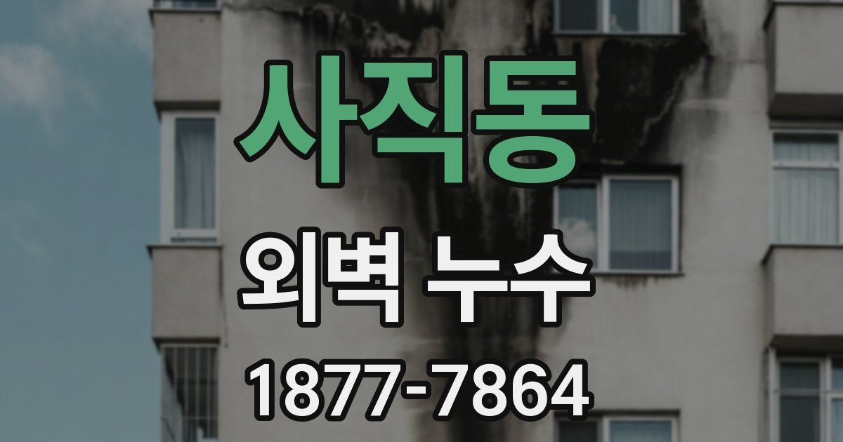 사직동 외벽 누수