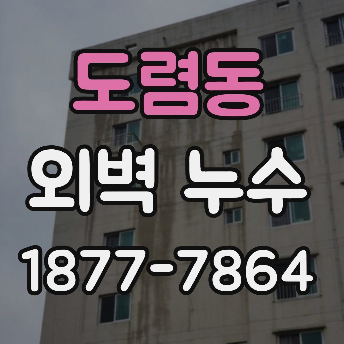 도렴동 외벽 누수