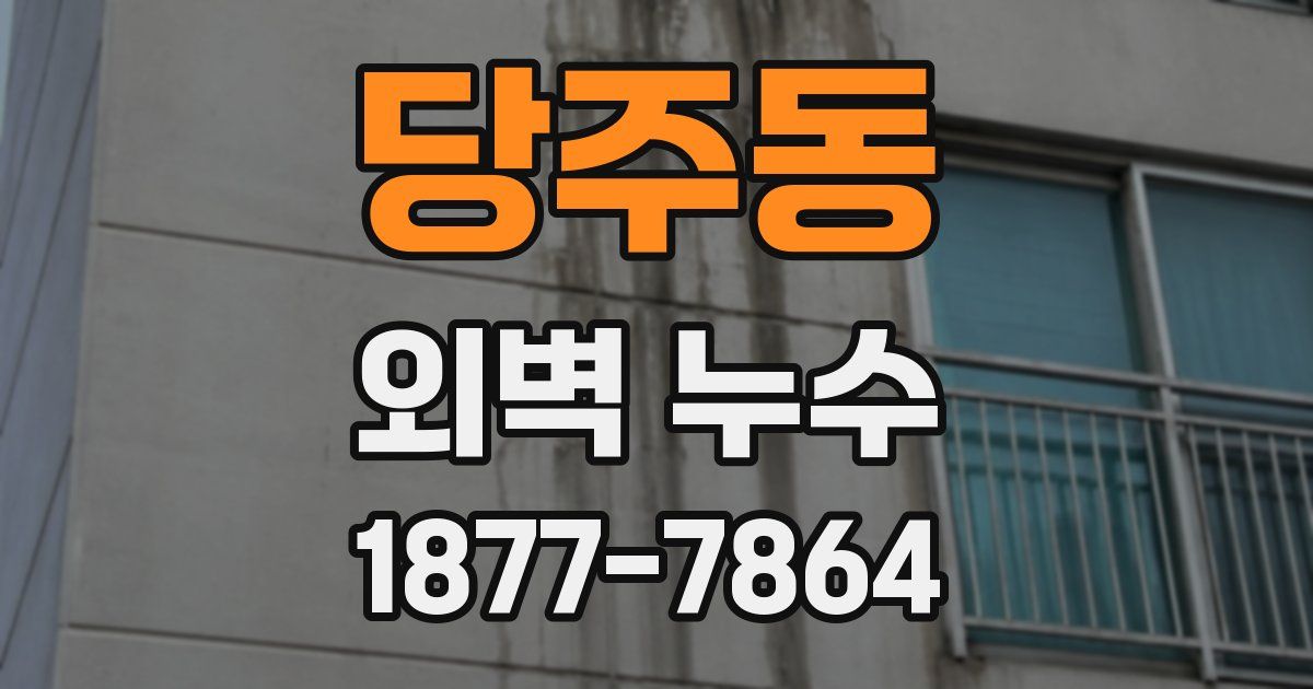 당주동 외벽 누수