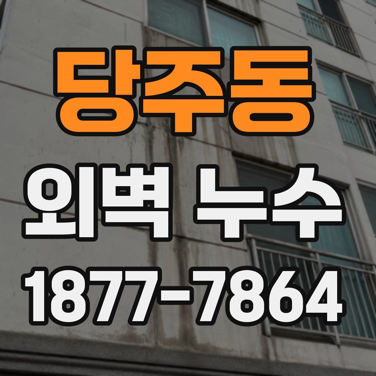 당주동 외벽 누수