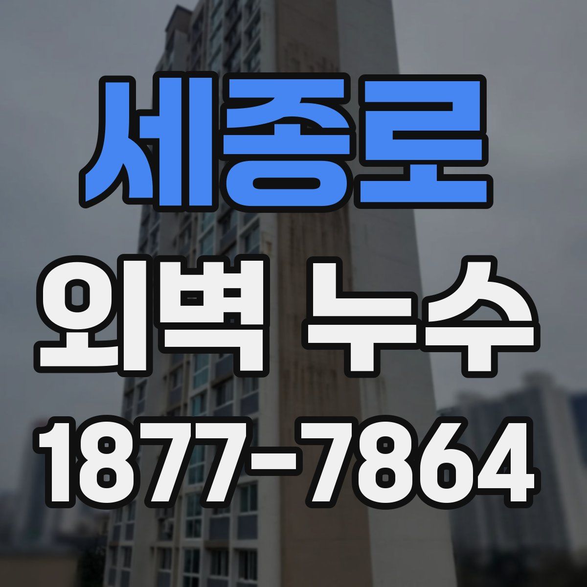 세종로 외벽 누수