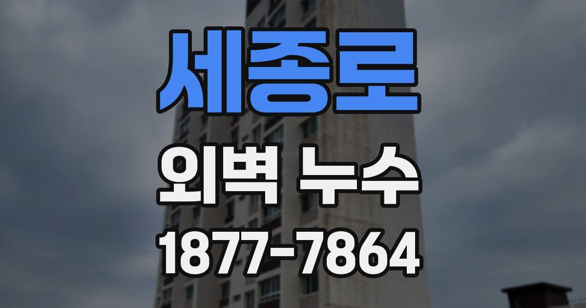 세종로 외벽 누수