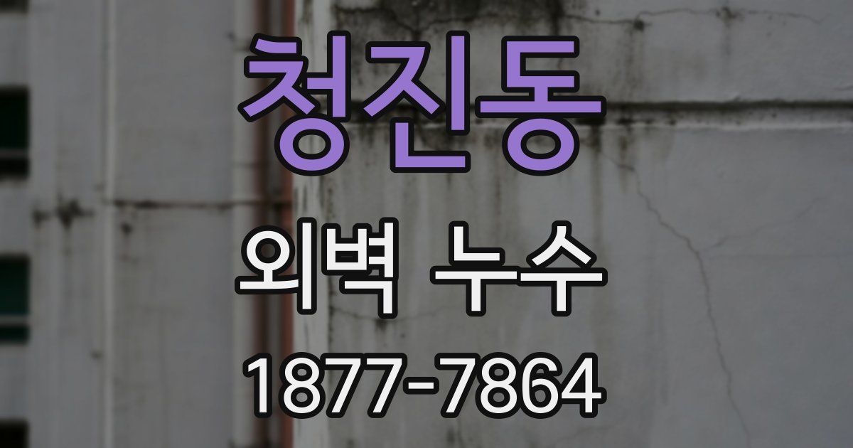 청진동 외벽 누수