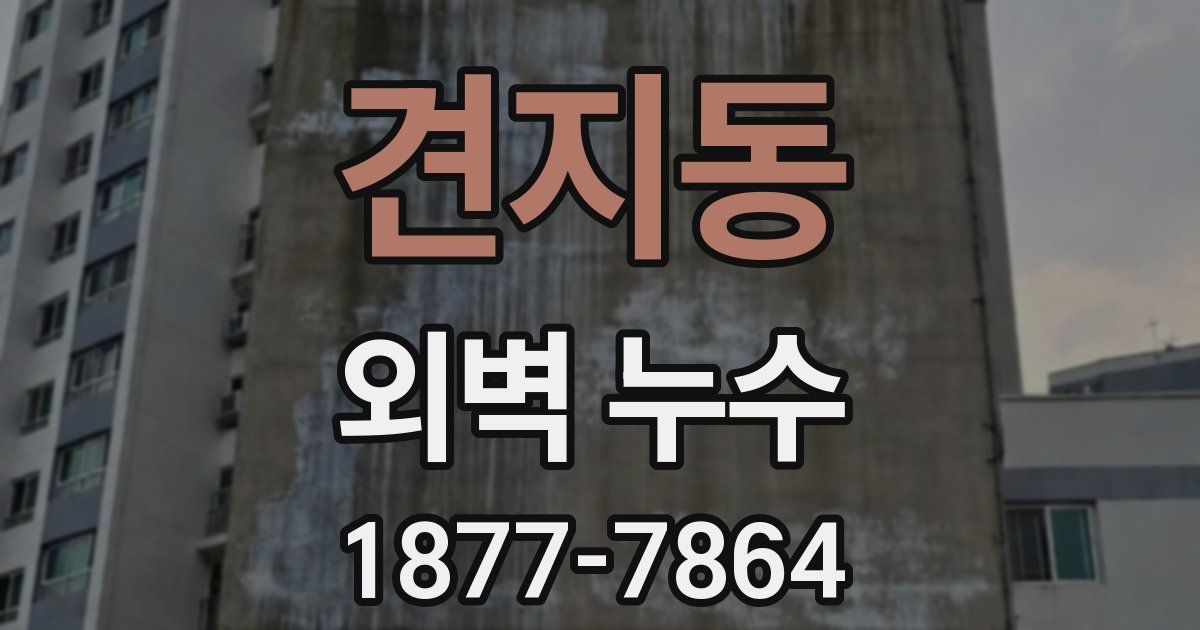 견지동 외벽 누수