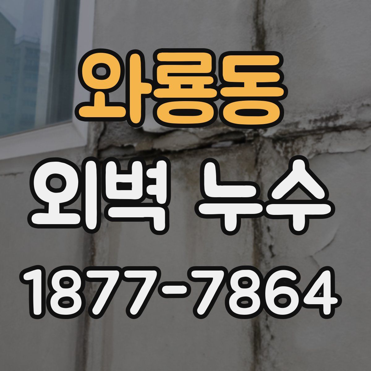 와룡동 외벽 누수