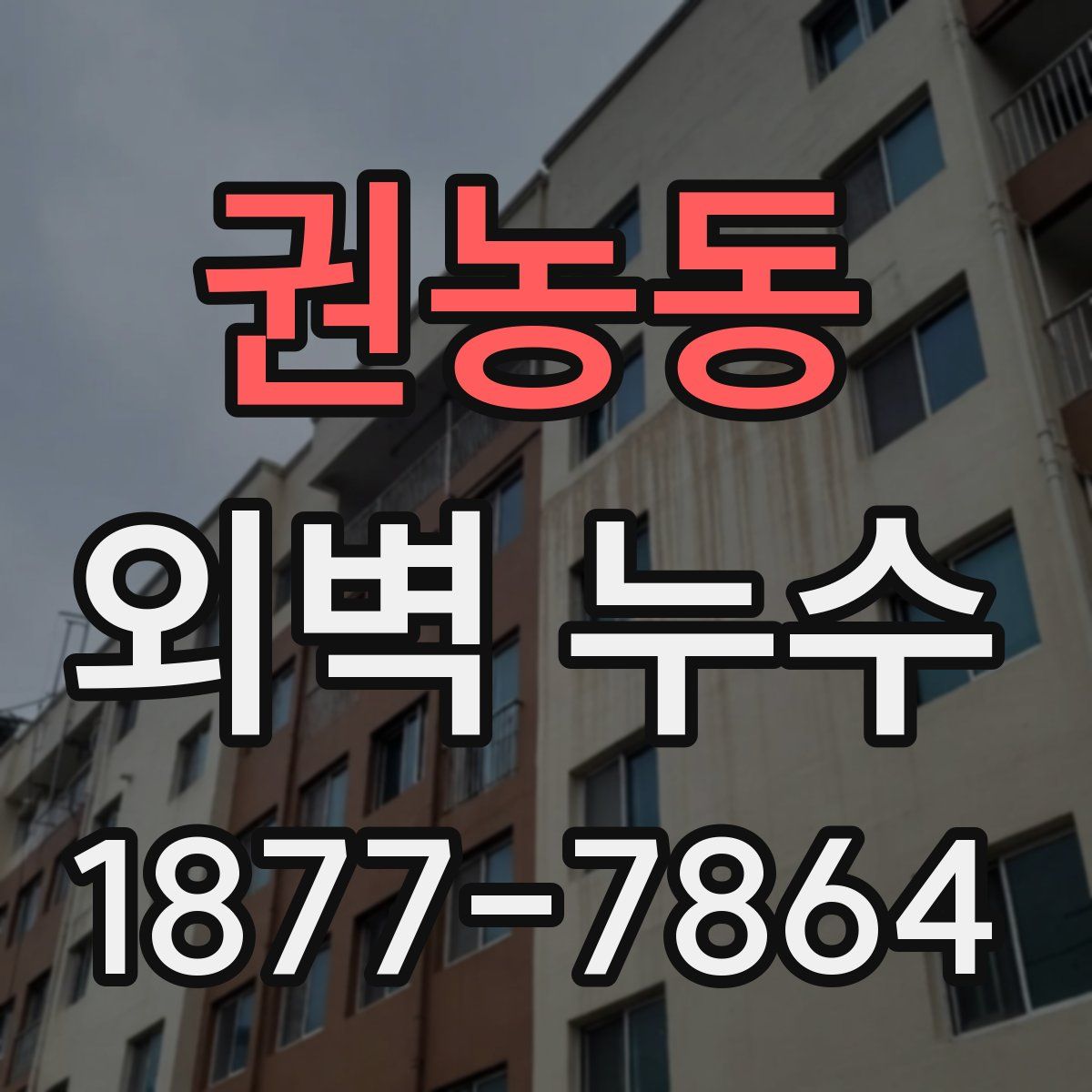 권농동 외벽 누수