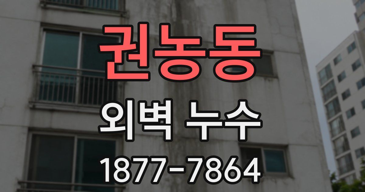 권농동 외벽 누수